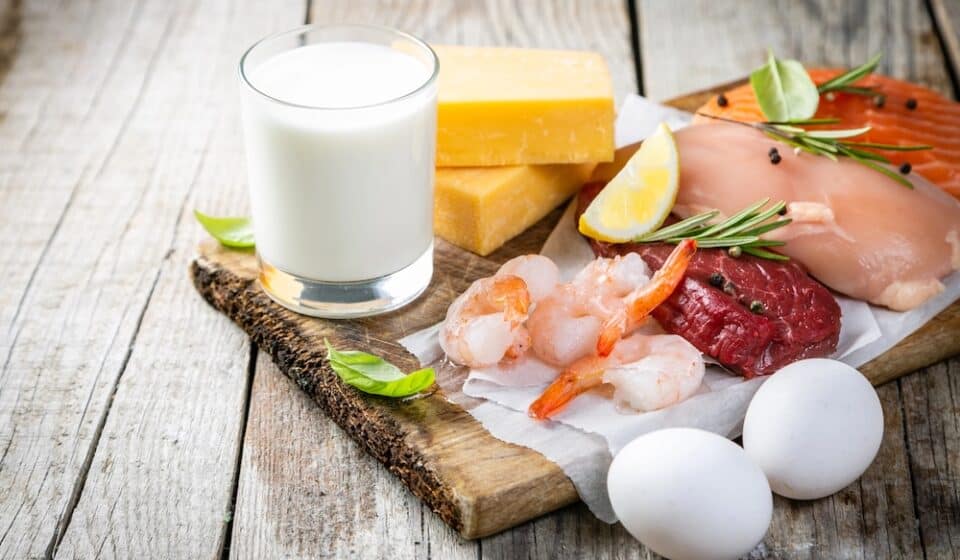 Ev hemodiyalizinde Protein İhtiyacı ve Örnek Gün Planı